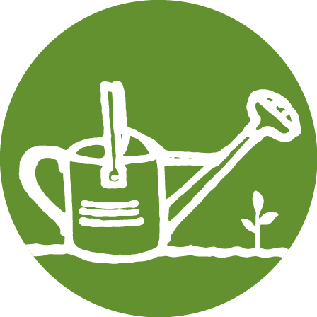 A graphic showing a white hand drawn watering can next to a seedling, on a green backgroun.