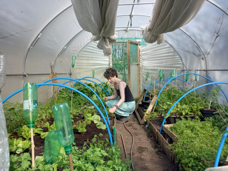 A photograph of Dr Deborah Burn gardening in her allotment polytunnel.