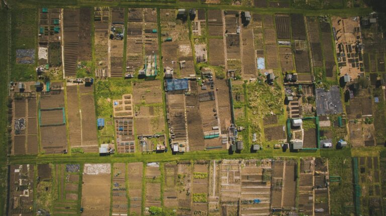 An ariel photograph of an allotment site in spring with the soil weeded and ready for planting up.