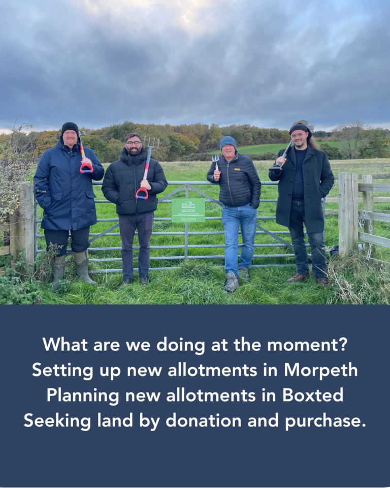 Text reads: What are we doing at the moment? Setting up new allotments in Morpeth. Planning new allotments in Boxted. Seeking land by donation or purchase. Image of Green Allotments Morpeth new allotment society members holding gardening tools, at the gate entrance to the charity’s land for new allotments in Morpeth.