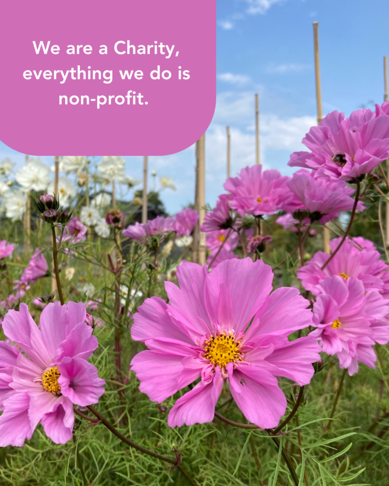 Text reads: We are a charity, everything we do is non-profit. Image of pink cosmos flowers blowing in a breeze.