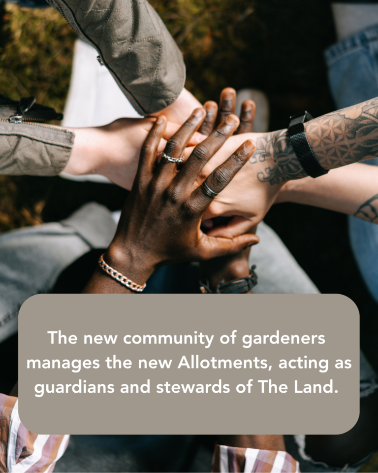 Text reads: The new community of gardeners manages the new Allotments, acting as guardians and stewards of The Land. Birdseye view image of three peoples hand’s all clasped together as a group.