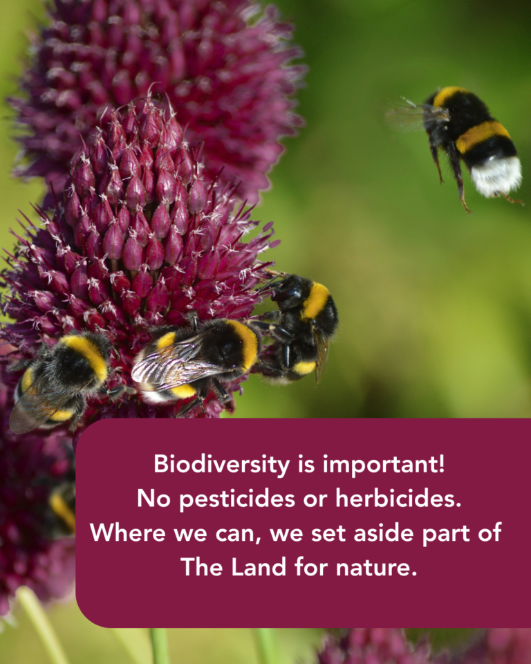 Text reads: Biodiversity is important! No pesticides or herbicides. Where we can, we set aside part of The Land for nature. Image of bees pollinating a clover flower.